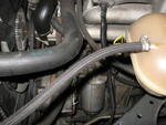 bmw 013.jpg