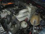 PC140004.JPG