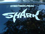 shark.jpg