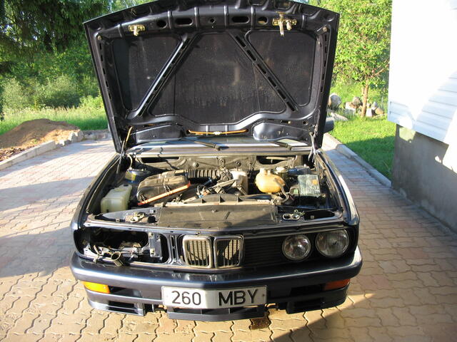 Picture 001.jpg