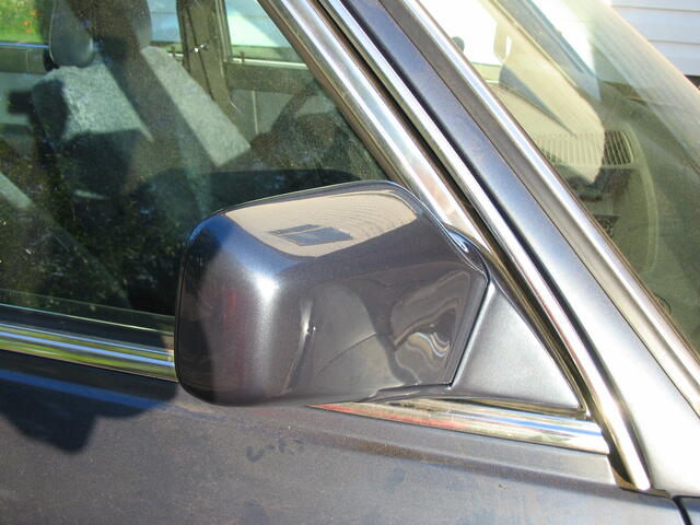 Picture 007.jpg