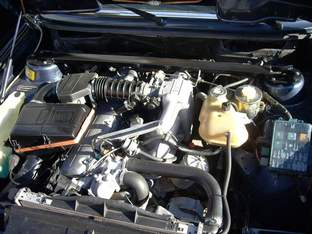 IMGP2745.JPG