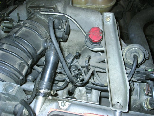 mtr11.jpg