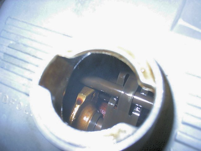 mtr17.jpg