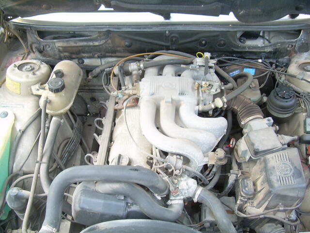 528e 031.jpg