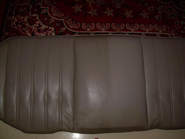 Picture 008
