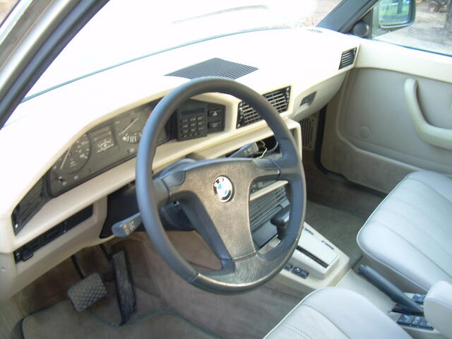 Picture 019