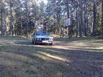 100520112957.jpg