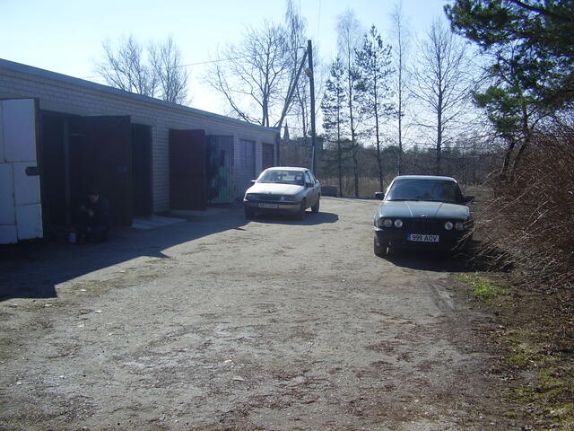 P3310004.JPG