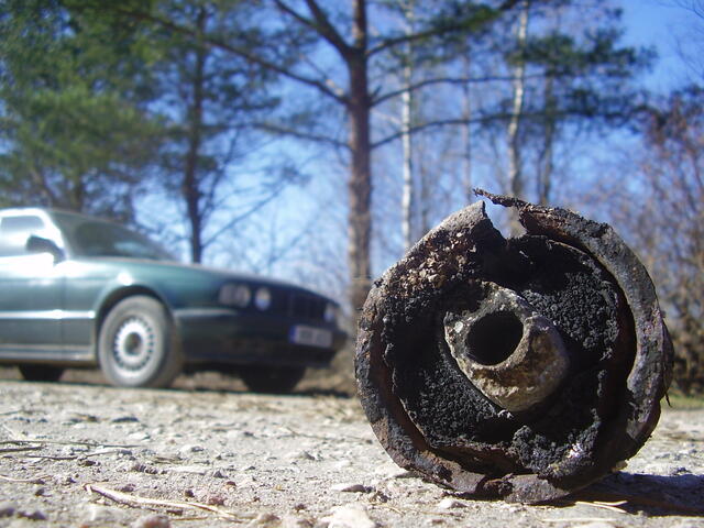 P3310047.JPG