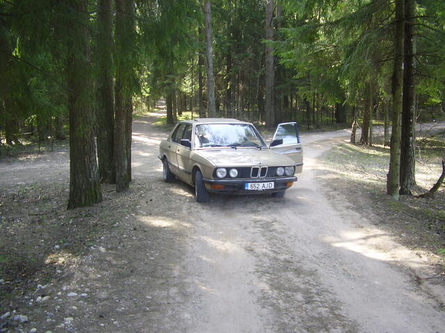 P4170004.JPG