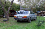 tagant