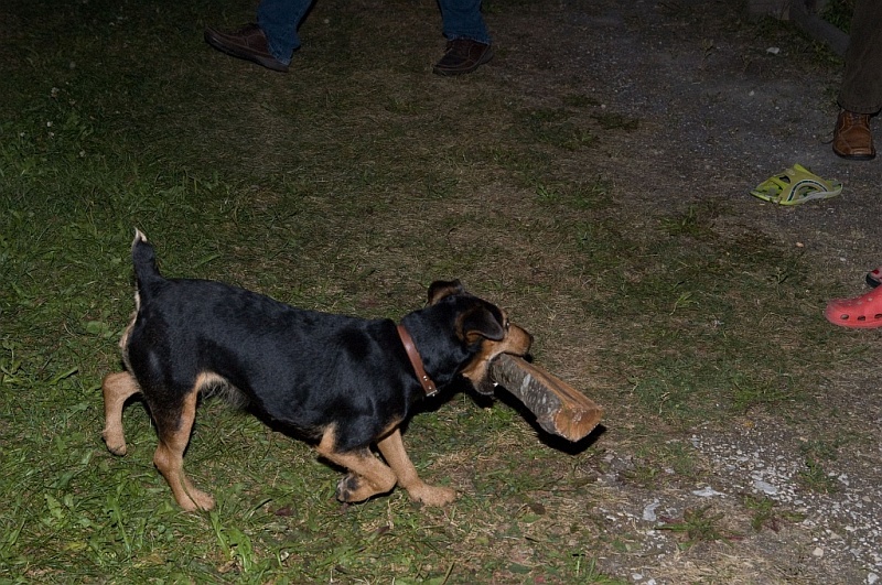 DSC_7212.jpg