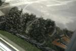 DSC_7235.JPG