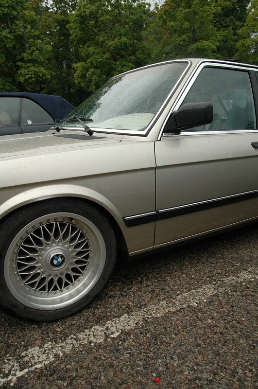 DSC_7246.JPG