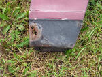 IMG 3493