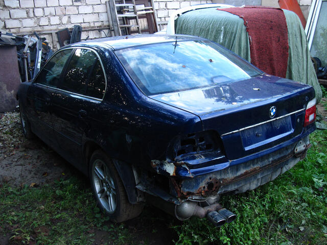 IMG 0341