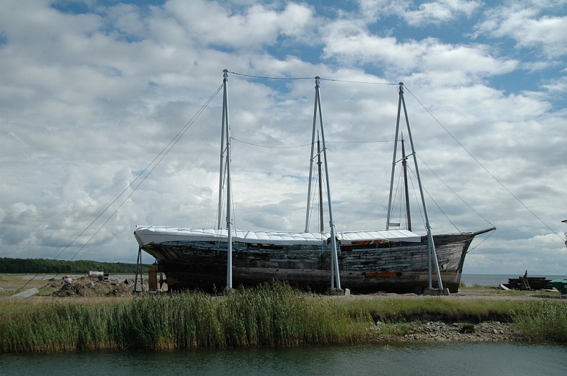 DSC_7293.JPG