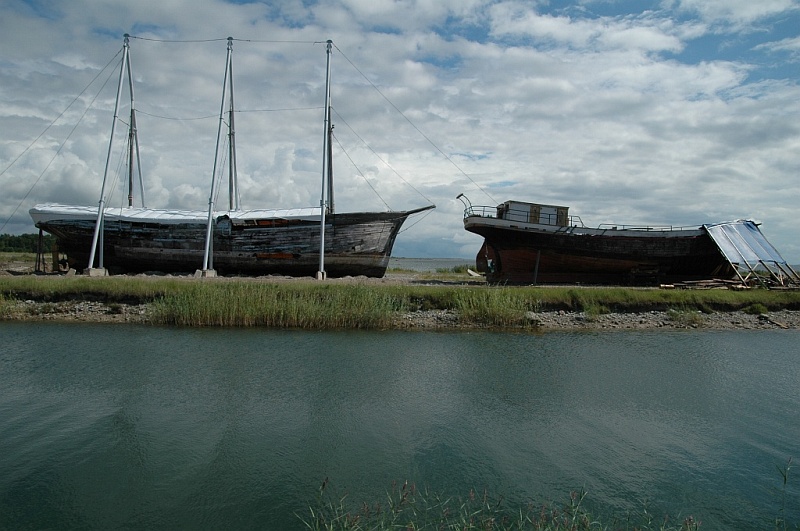 DSC_7294.JPG