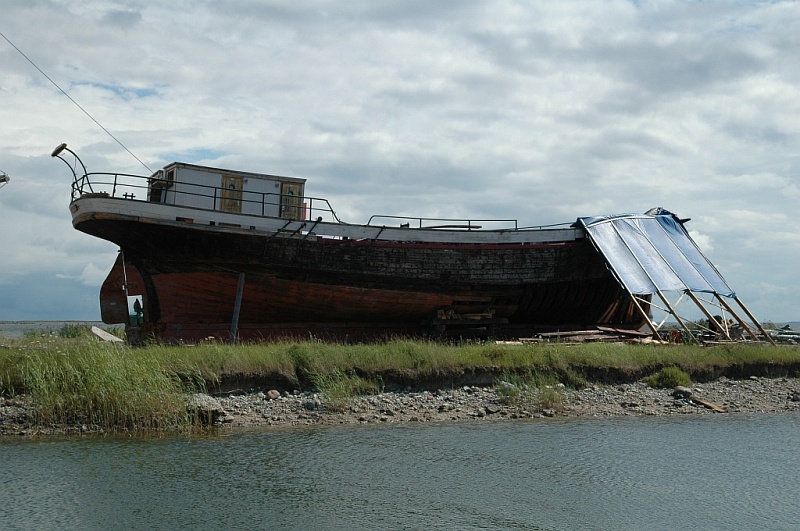 DSC_7295.JPG