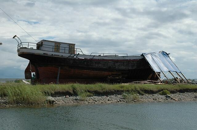 DSC_7295.JPG