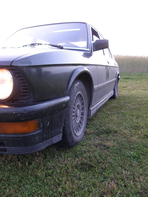 P7030209.JPG