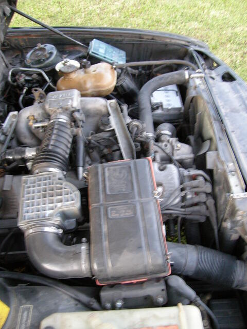 P7030214.JPG
