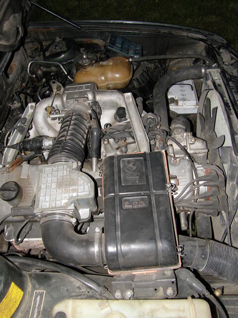 P7030215.JPG