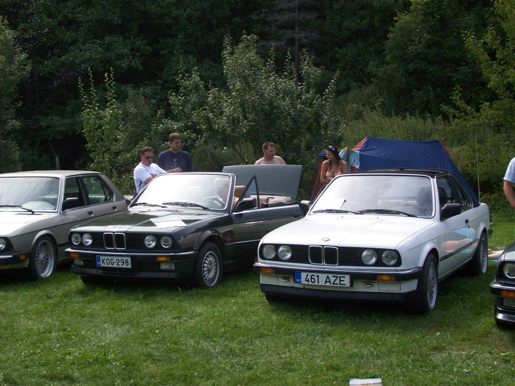 100 0633 (Large)