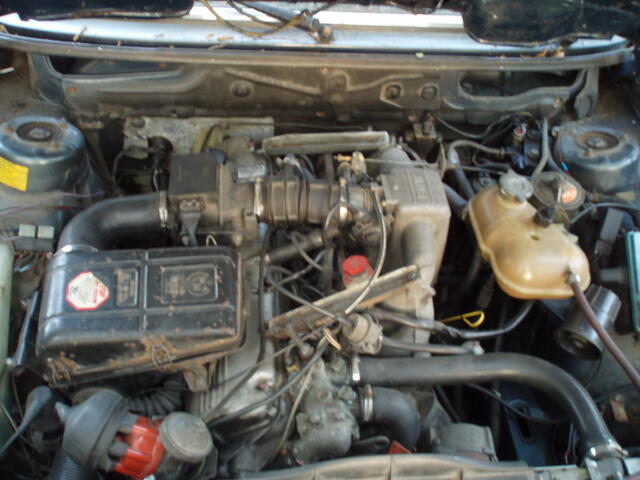 P5170006.JPG