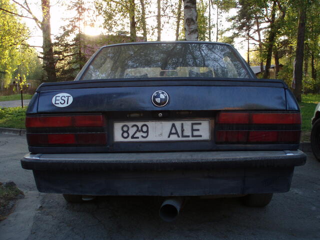 P5170003.JPG