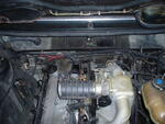 PC180005.JPG