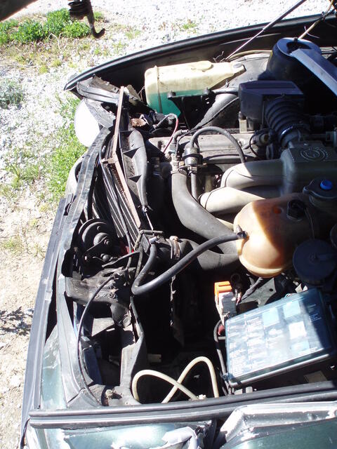 P5100003.JPG