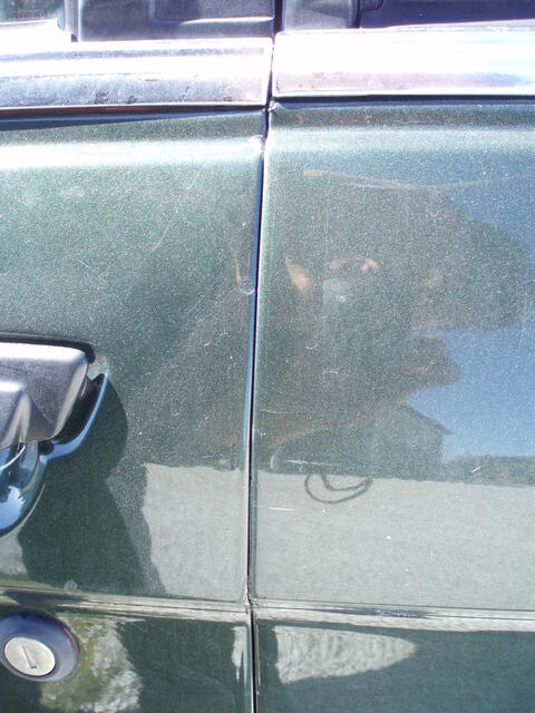 P5100007.JPG