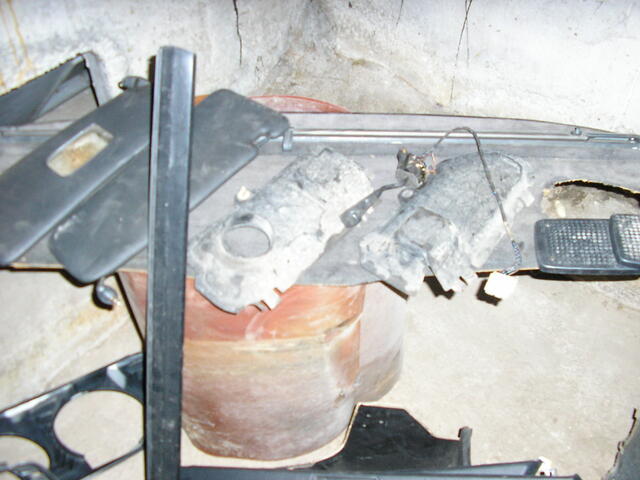 Picture 007