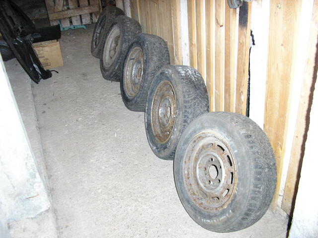 Picture 011