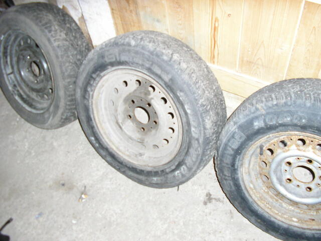 Picture 013
