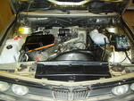 Picture 001