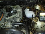 Picture 003