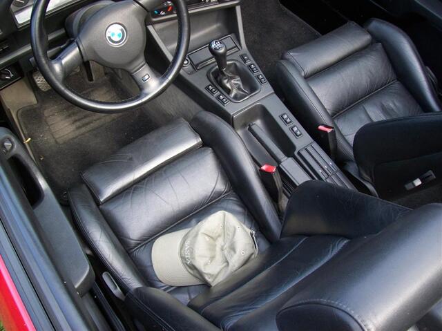 100 0677 (Large)