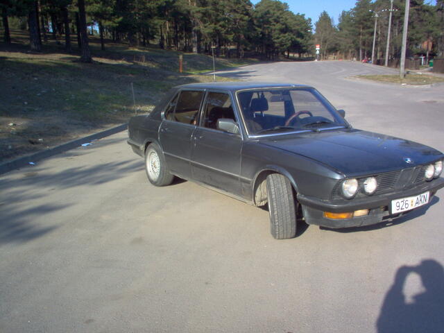 Picture 004