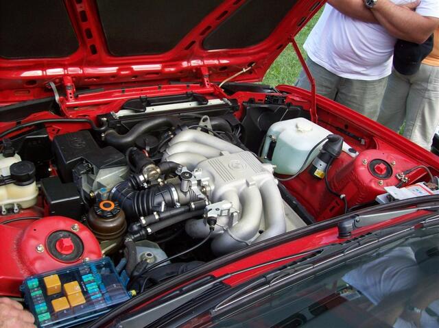 100 0679 (Large)