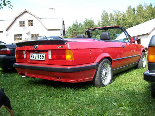 100 0681 (Large)