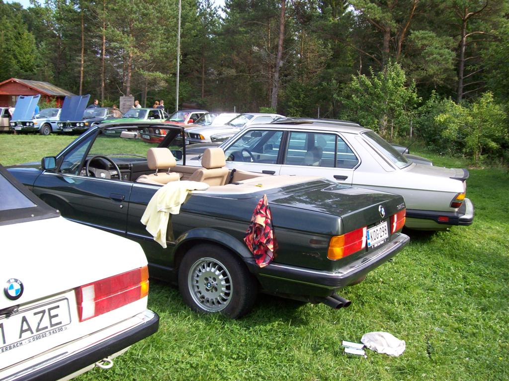 100 0684 (Large)