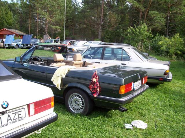 100 0684 (Large)