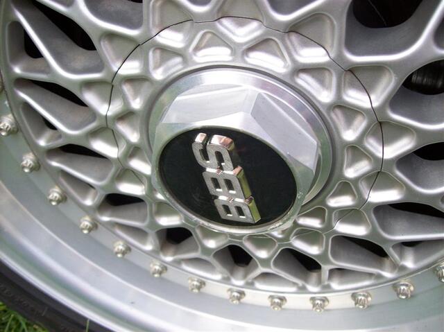 100 0685 (Large)