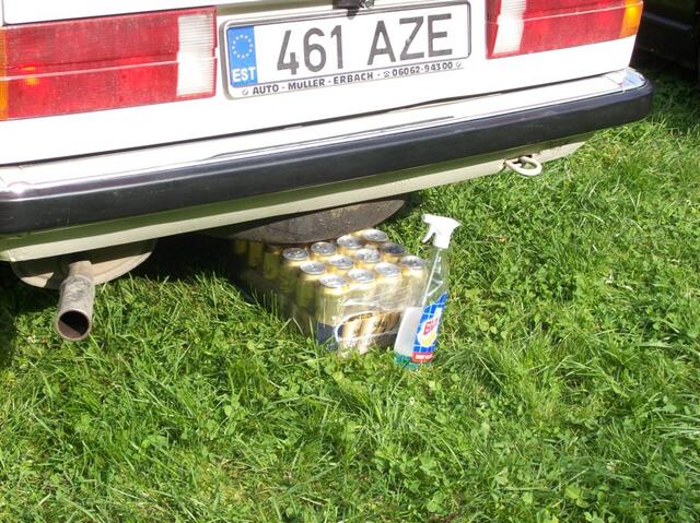 100 0686 (Large)