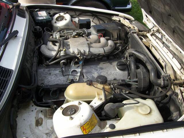 100 0689 (Large)