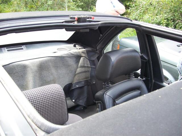 100 0690 (Large)