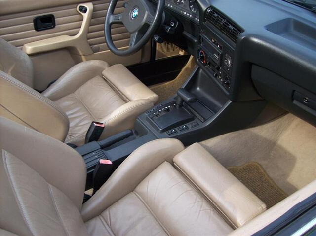 100 0694 (Large)
